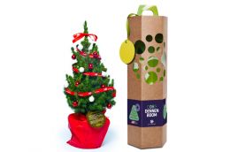Kerstboompje in geschenkverpakking