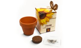Bloemshowbox