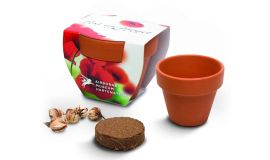 Kweekset standaard (5 cm)