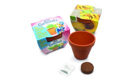 Kweekset groot (10 cm)