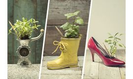 Sprout™ potloden