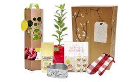 Cadeaupakket 'Appel(boom)taart)'