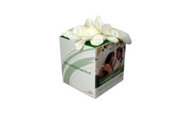 Kubus handschoenen box