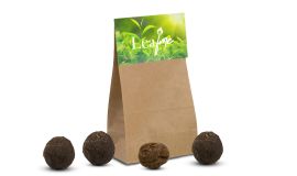 Moods® Zaadbommetjes in papieren zakje (4 stuks) 