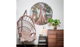 Behangcirkel